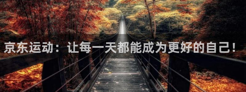 凯捷体育集团E.ON：京东运动：让每一天都能成为更好