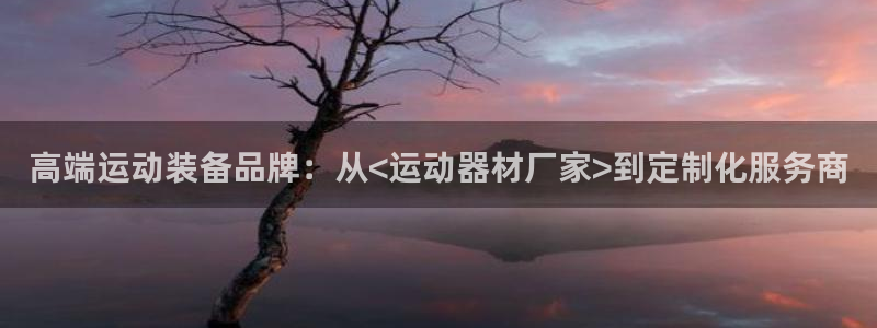 凯捷体育平台注册要钱吗安全吗：高端运动装备品牌：从<