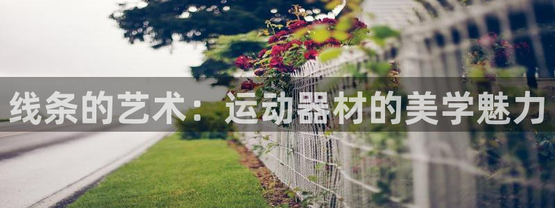凯捷体育平台注册流程图：线条的艺术：运动器材的美学魅
