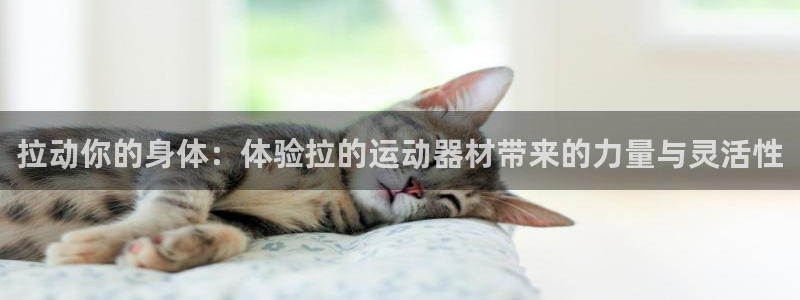 凯捷体育官网：拉动你的身体：体验拉的运动器材带来的力
