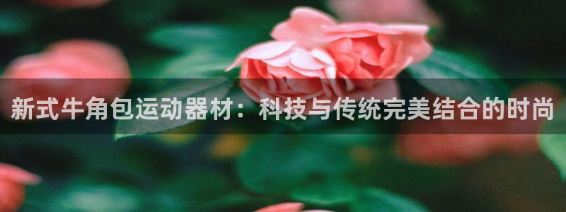 凯捷体育娱乐首页官网下载：新式牛角包运动器材：科技与