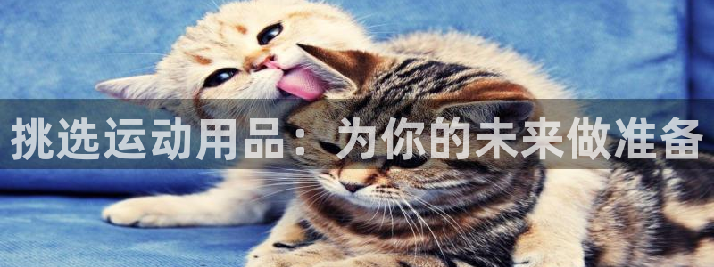 凯捷体育平台注册要钱吗是真的吗：挑选运动用品：为你的
