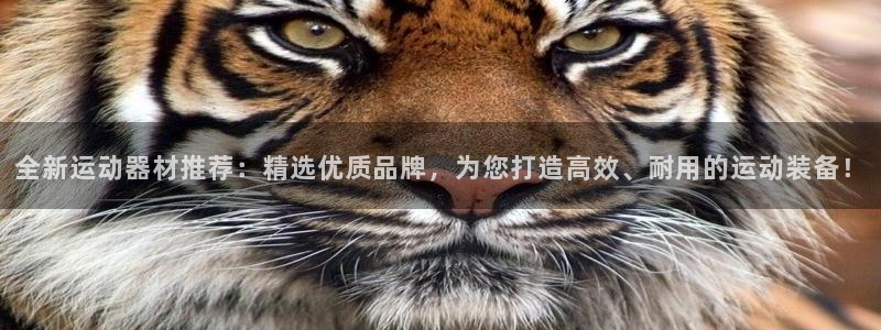 凯捷体育联系电话：全新运动器材推荐：精选优质品牌，为您打造高
