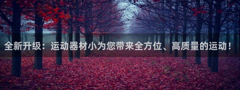 凯捷体育娱乐：全新升级：运动器材小为您带来全方位、高