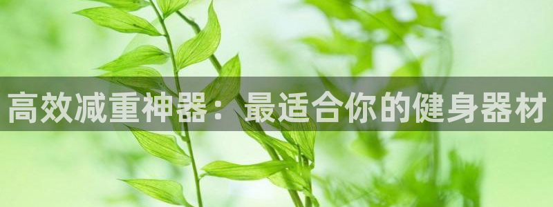凯捷体育集团官网网址：高效减重神器：最适合你的健身器