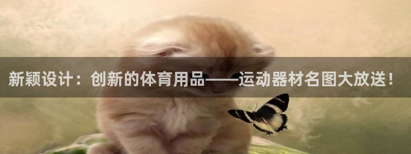 凯捷体育招商电话号码是多少：新颖设计：创新的体育用品