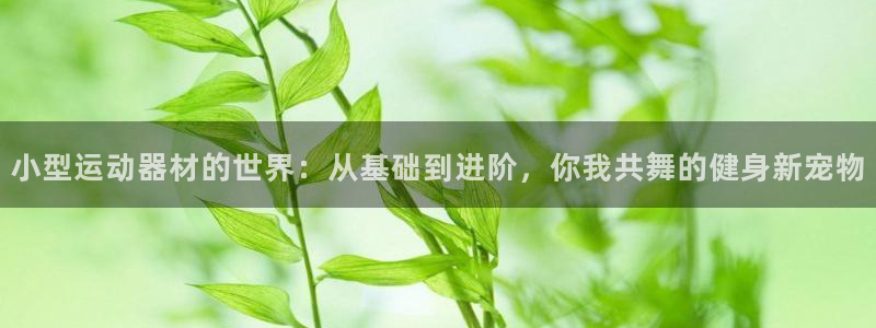 凯捷体育科技：小型运动器材的世界：从基础到进阶，你我