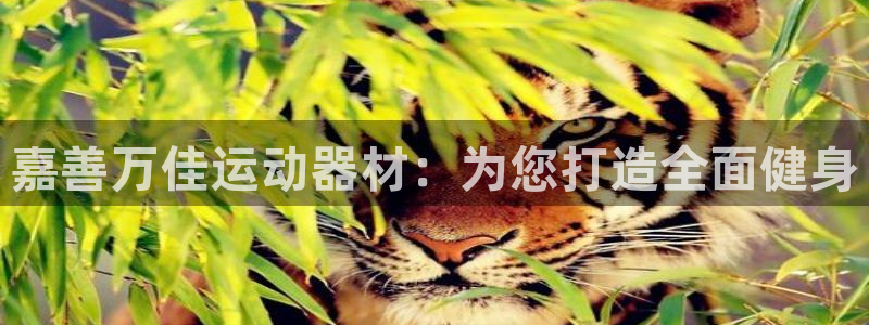 凯捷体育招商电话是多少号码：嘉善万佳运动器材：为您打