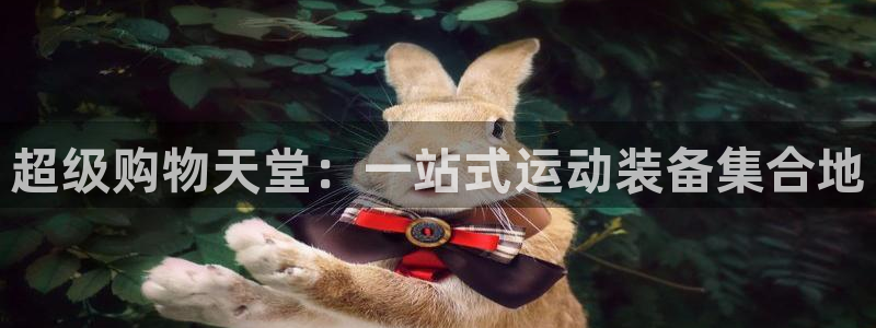 凯捷体育集团E.ON：超级购物天堂：一站式运动装备集