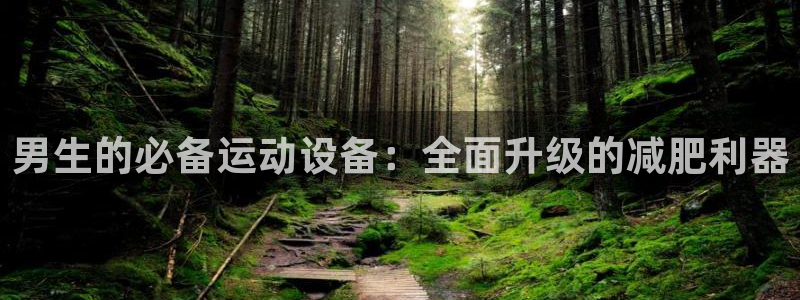 凯捷体育集团官网网址:男生的必备运动设备:全面升级的减肥利器