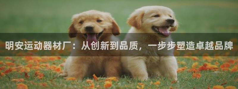 凯捷体育娱乐网站