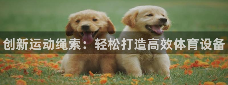 凯捷体育平台APP：创新运动绳索：轻松打造高效体育设