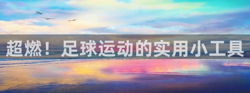 凯捷体育是干嘛的公司