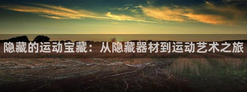 凯捷体育平台注册流程视频：隐藏的运动宝藏：从隐藏器材