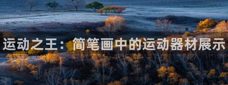 凯捷体育招商电话是多少啊:运动之王:简笔画中的运动器材展示