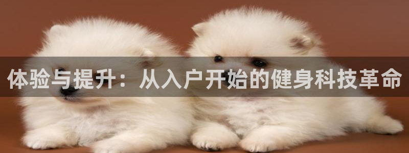 凯捷体育平台假的吗是真的吗:体验与提升:从入户开始的健身科技
