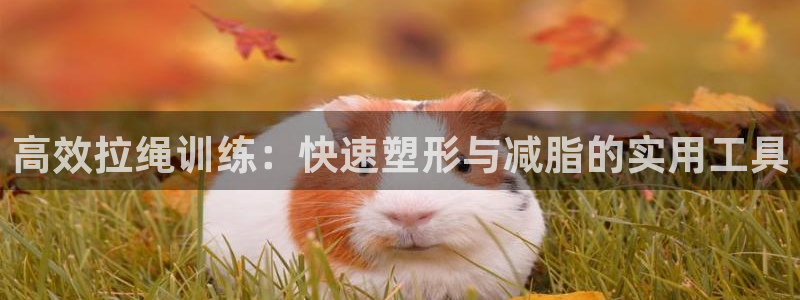 凯捷体育招商电话号码是多少号：高效拉绳训练：快速塑形