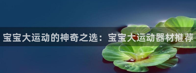 海南凯捷体育：宝宝大运动的神奇之选：宝宝大运动器材推荐