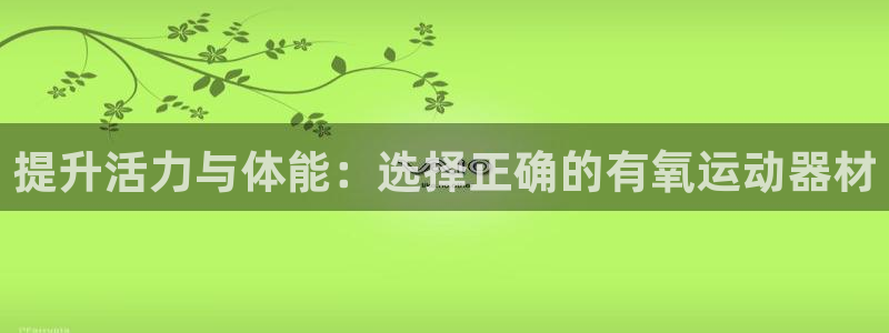 凯捷体育娱乐是那个系列的台子：提升活力与体能：选择正