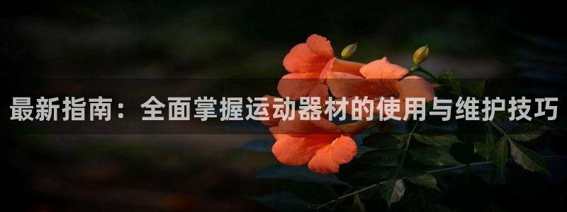 凯捷体育招商电话是多少：最新指南：全面掌握运动器材的