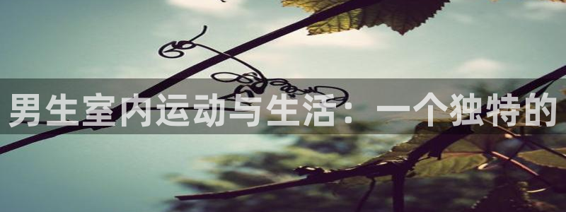 凯捷体育招商电话号码是多少啊：男生室内运动与生活：一个独特的