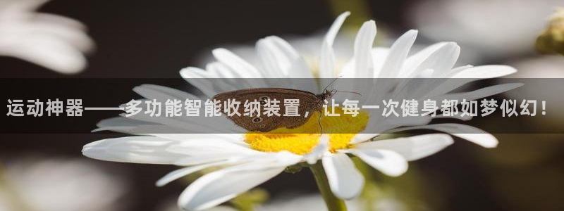 海南凯捷体育发展怎么样：运动神器——多功能智能收纳装