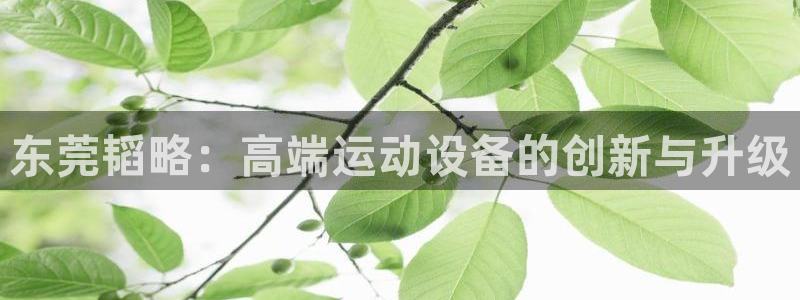 凯捷体育招商电话地址是多少：东莞韬略：高端运动设备的