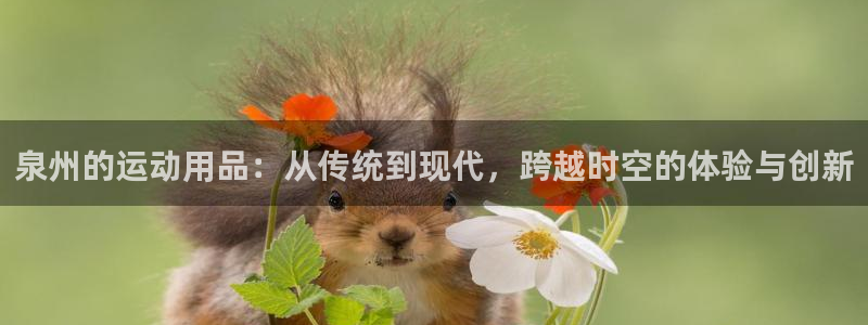 凯捷体育娱乐代理怎么样：泉州的运动用品：从传统到现代