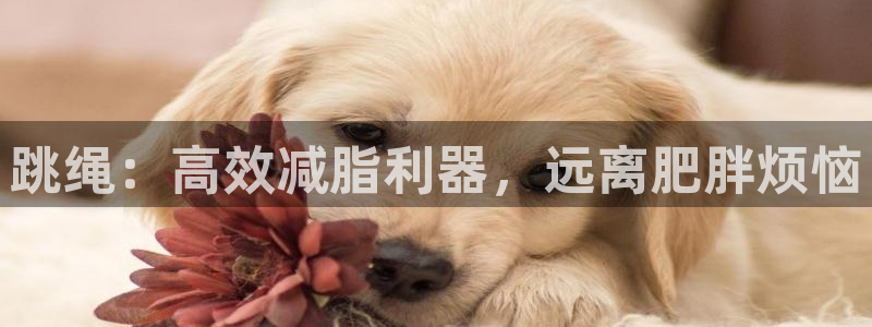 凯捷体育娱乐网站：跳绳：高效减脂利器，远离肥胖烦恼