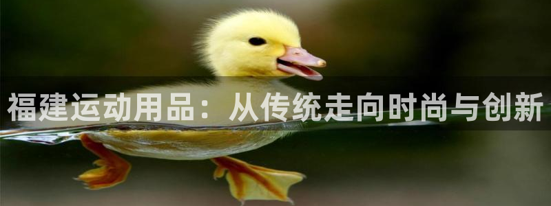 凯捷体育招商电话号码是多少：福建运动用品：从传统走向