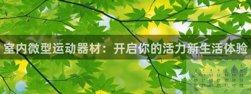 注册凯捷体育：室内微型运动器材：开启你的活力新生活体验