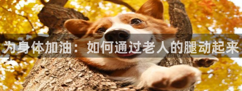 凯捷体育新能源