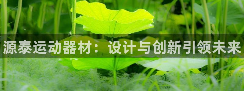 凯捷体育开户