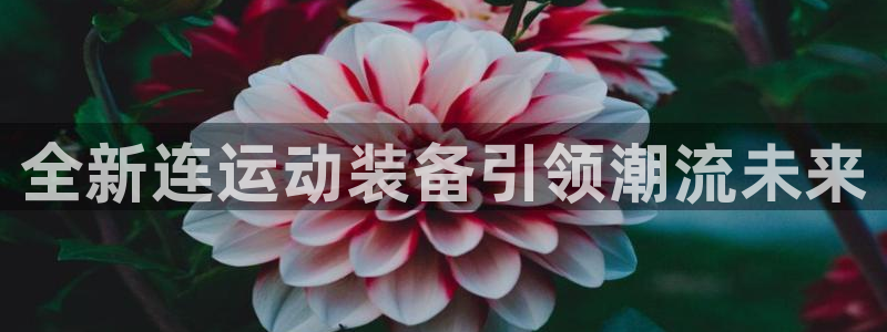 凯捷体育招商电话号码查询