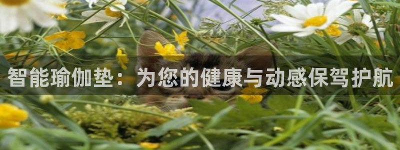 凯捷体育招商电话号码是多少啊：智能瑜伽垫：为您的健康与动感保