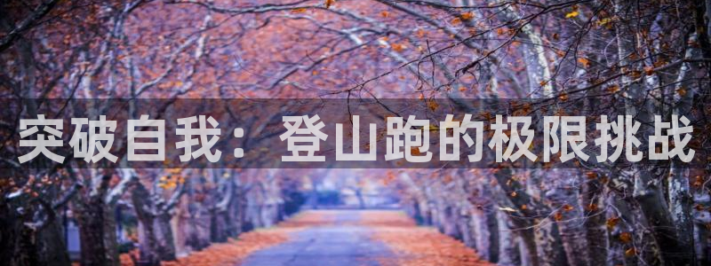凯捷体育集团E.ON