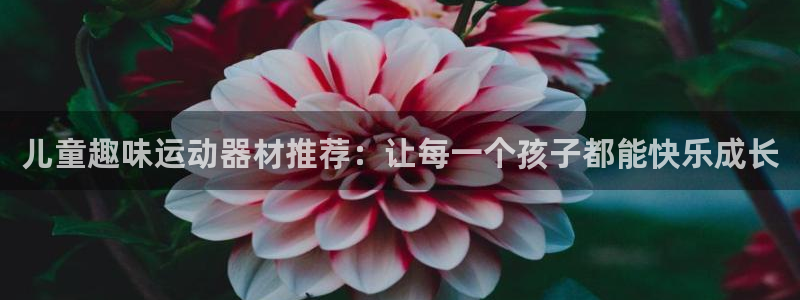 海南凯捷体育：儿童趣味运动器材推荐：让每一个孩子都能