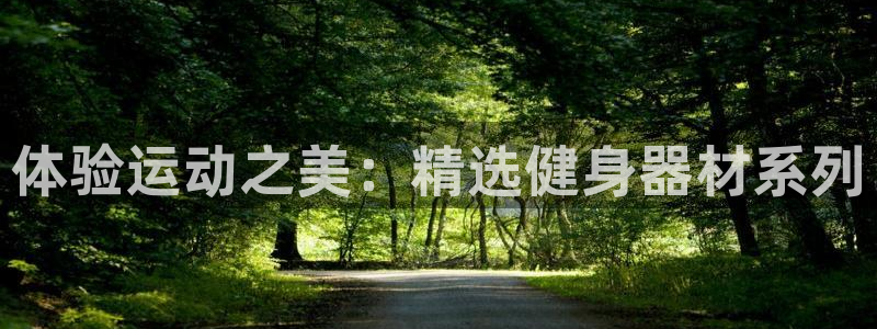 凯捷体育娱乐下载：体验运动之美：精选健身器材系列