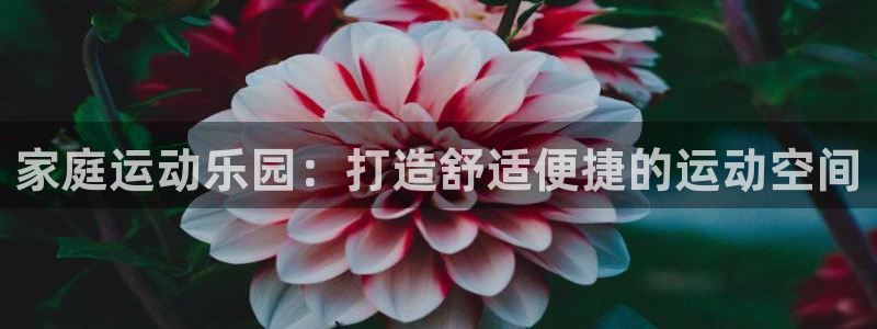 凯捷体育娱乐：家庭运动乐园：打造舒适便捷的运动空间