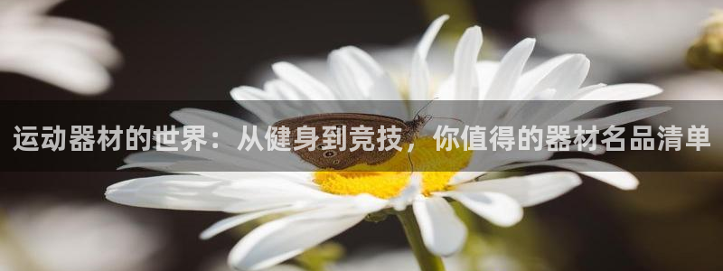 凯捷体育：运动器材的世界：从健身到竞技，你值得的器材