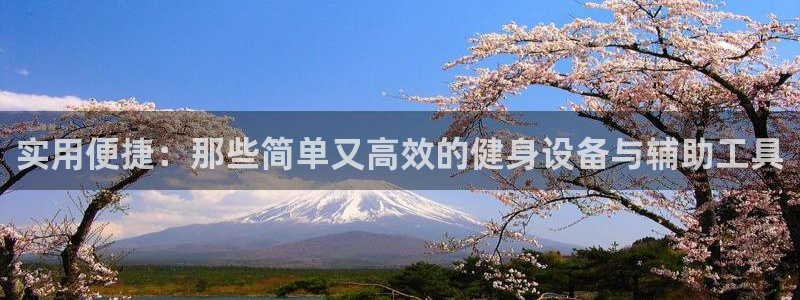 凯捷体育娱乐首页官网下载:实用便捷:那些简单又高效的健身设备