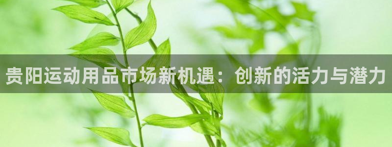 凯捷体育招商电话号码是多少：贵阳运动用品市场新机遇：创新的活