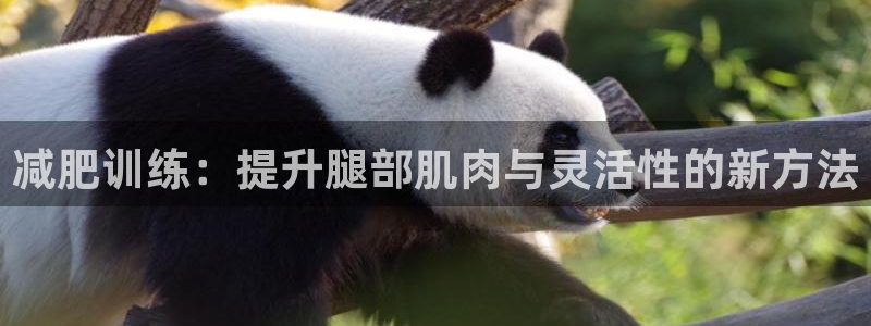 凯捷体育平台注册：减肥训练：提升腿部肌肉与灵活性的新方法